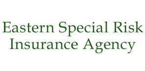 Allied Insurance Professionals
